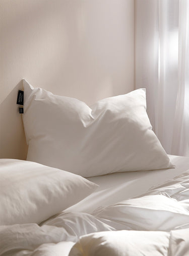 Evolution pillow